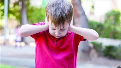 صورة موضوعية    