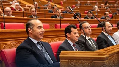 مجلس النواب 