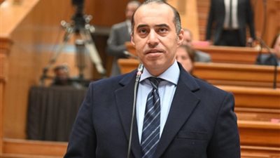 المستشار محمود فوزي