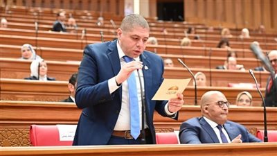 الدكتور أحمد جبيلي، عضو مجلس النواب