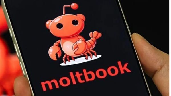 ما هى منصة Moltbook؟    