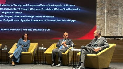 وزير الخارجية 