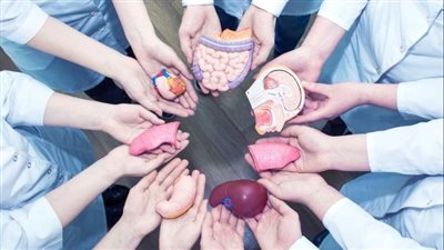 التبرع بالأعضاء    