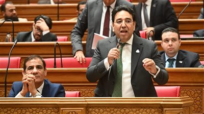 النائب أيمن محسب 