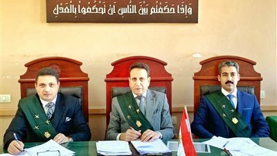 السجن 3 سنوات لمتهمين في واقعة شروع في قتل بدائرة الزهور ببو