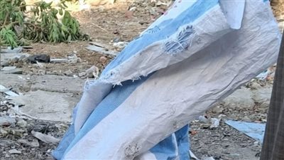 صورة توضيحية 