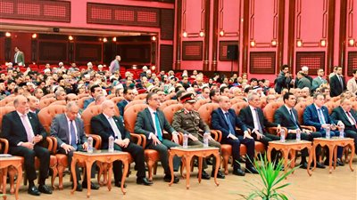  المستشار محمد الشناوي