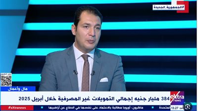 الخبير الاقتصادي محمد كمال