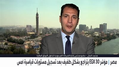  الخبير الاقتصادي محمد كمال