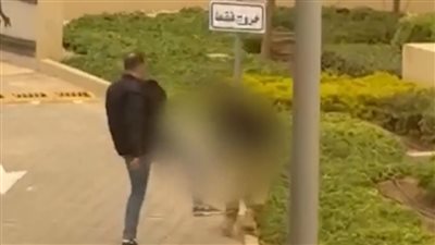  الاعتداء على فرد أمن داخل كمبوند سوديك بالتجمع الخامس