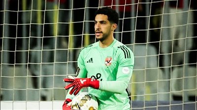 مصطفى شوبير