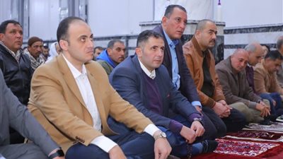 الدكتور حسام الدين فوزى