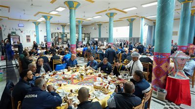 المهندس كريم بدوي