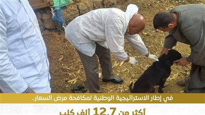 تحصين وتعقيم الكلاب    