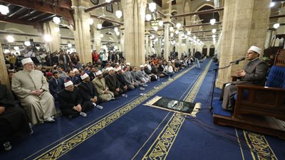 الدكتور مصطفى محمد شيشي