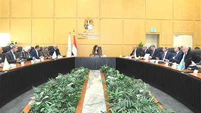 المهندسة راندة المنشاوي