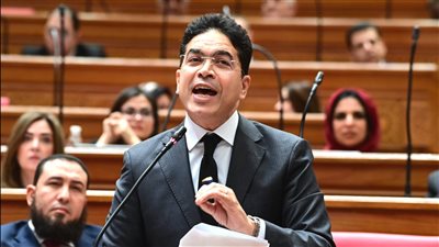 النائب ضياء الدين داوود 