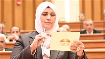 النائبة مروة هاشم