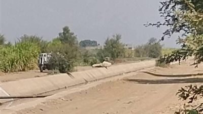 ضبط سيارة تحمل الصرف الصحي بقنا 