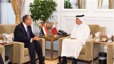 وزير الخارجية المصري ونظيره القطري