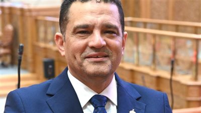 النائب أمير أحمد الجزار