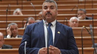 عضو مجلس النواب 