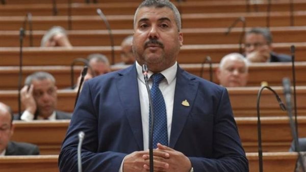 عضو مجلس النواب     