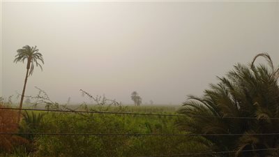 رياح شديدة من قنا 