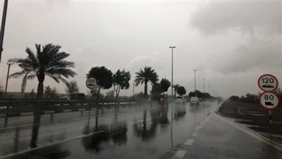 الأرصاد تحذر من طقس شديد التقلب    