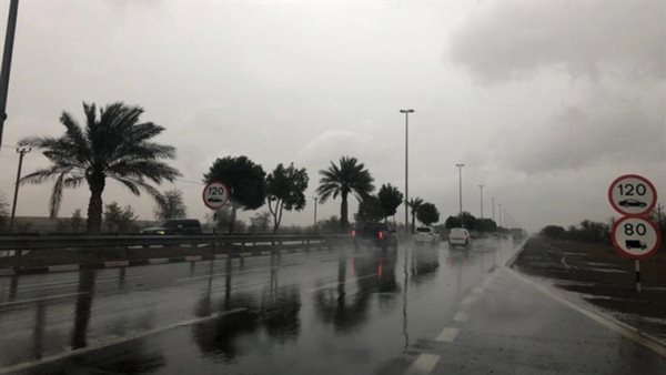 الأرصاد تحذر من طقس شديد التقلب    