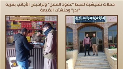 جولة ميدانية لضبط عقود العمل بقرية بدر    