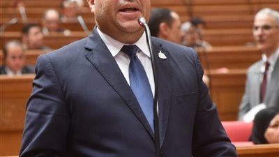 عضو مجلس النواب 