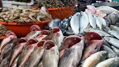 أسعار السمك اليوم الثلاثاء 24 مارس 2026