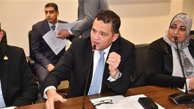  النائب أمير الجزار