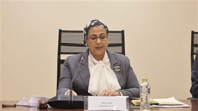 المستشارة أمل عمار    