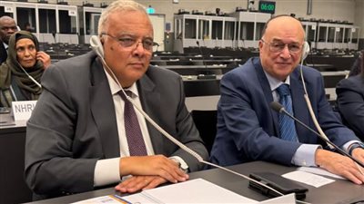 المجلس القومي لحقوق الإنسان