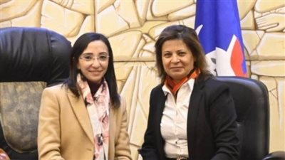 جانب من اللقاء 