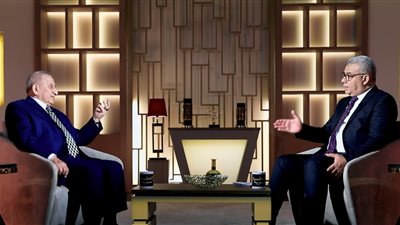 السفير نبيل نجم