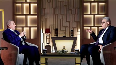  السفير نبيل نجم