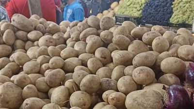 سعر كيلو البطاطس 