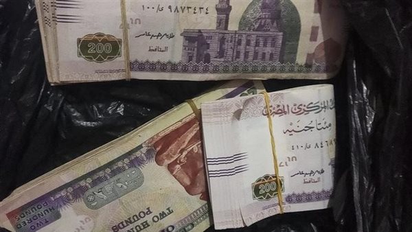 موعد صرف معاشات شهر مايو 2026    