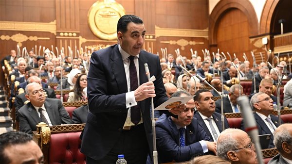 النائب السعيد غنيم    