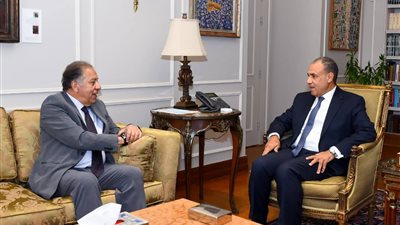 بدر عبد العاطي وزير الخارجية