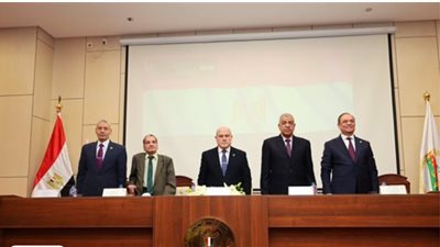 المستشار محمد الشناوي    