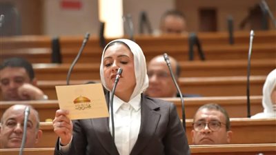  النائبة ريهام عبد النبي