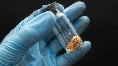 البويضات المجمدة    