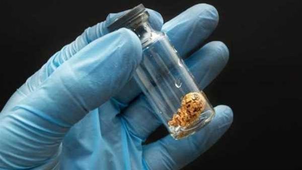 البويضات المجمدة    