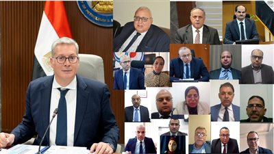 المهندس كريم بدوي