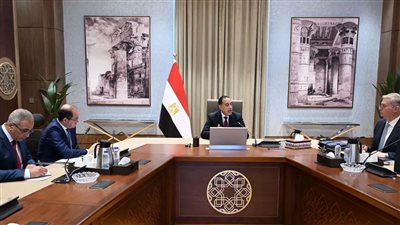 رئيس الوزراء مع وزيري المالية والبترول    