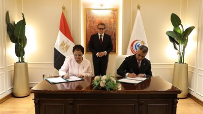  الدكتور خالد عبد الغفار    